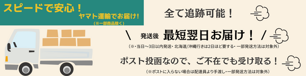 zandy(ズィー・アンド・ワイ)